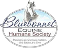 BluebonnetEquine Logo