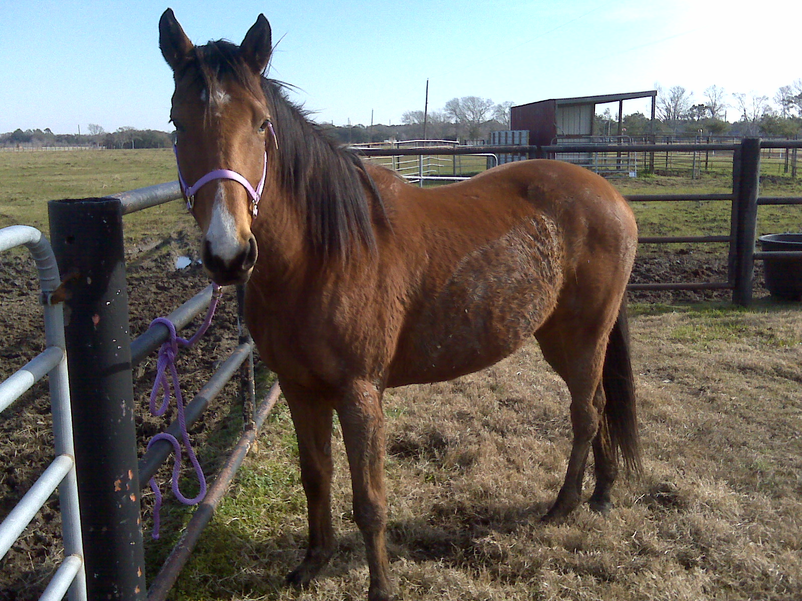 Abigail in January 2010