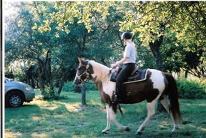 Angel under saddle.