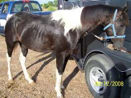 Apache when he arrived.