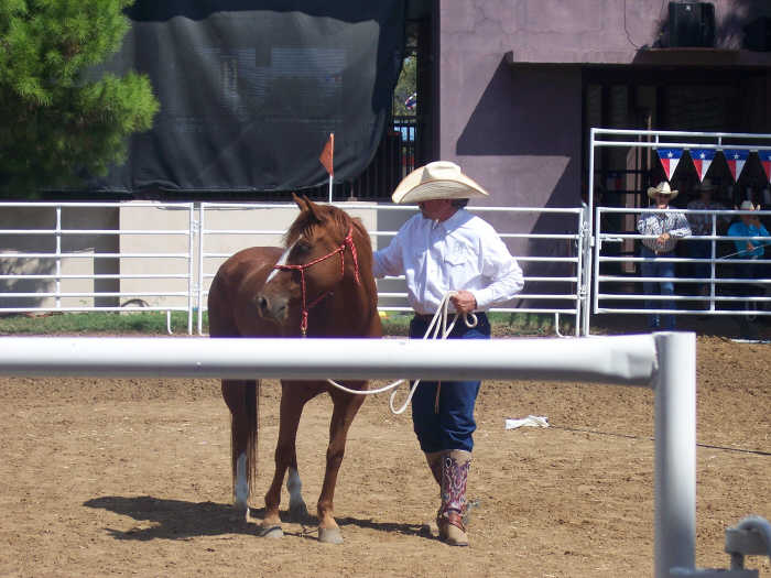 Braveheart at the Texas State Fair