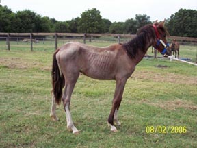 Chance when he arrived.