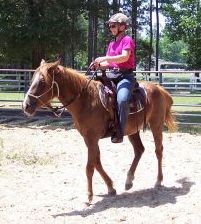 Chuck training with his foster home.