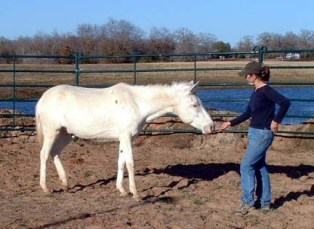 Crisco learning to trust.