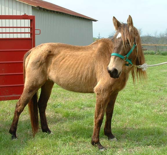 Dusty when he arrived.