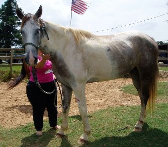 Geronimo looking healthy.