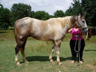 Geronimo happy and safe.