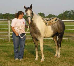 Geronimo with his foster "mom" Julie.