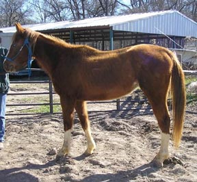 Ginger when she arrived.