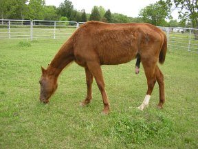 Maximus when he arrived.