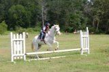 Moonshine at Pony Club camp.