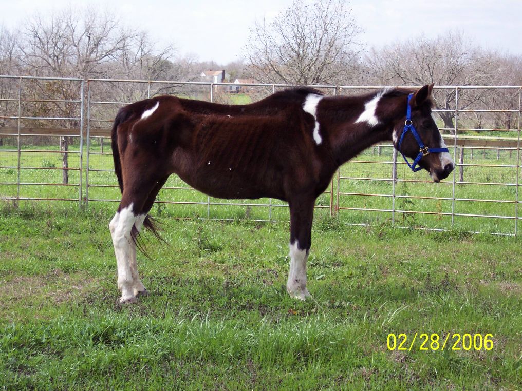 Oreo when she arrived.