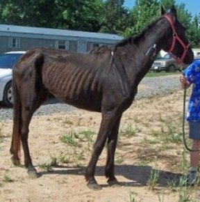 Ouachita when he arrived.