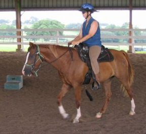 Serena's first ride under saddle.