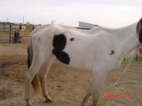 Storm when he first came to BEHS.