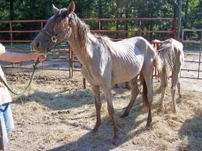 Tuffy not long after she arrived.