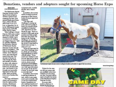 Donations, Vendors and adopters sought for upcoming Horse Expo.
