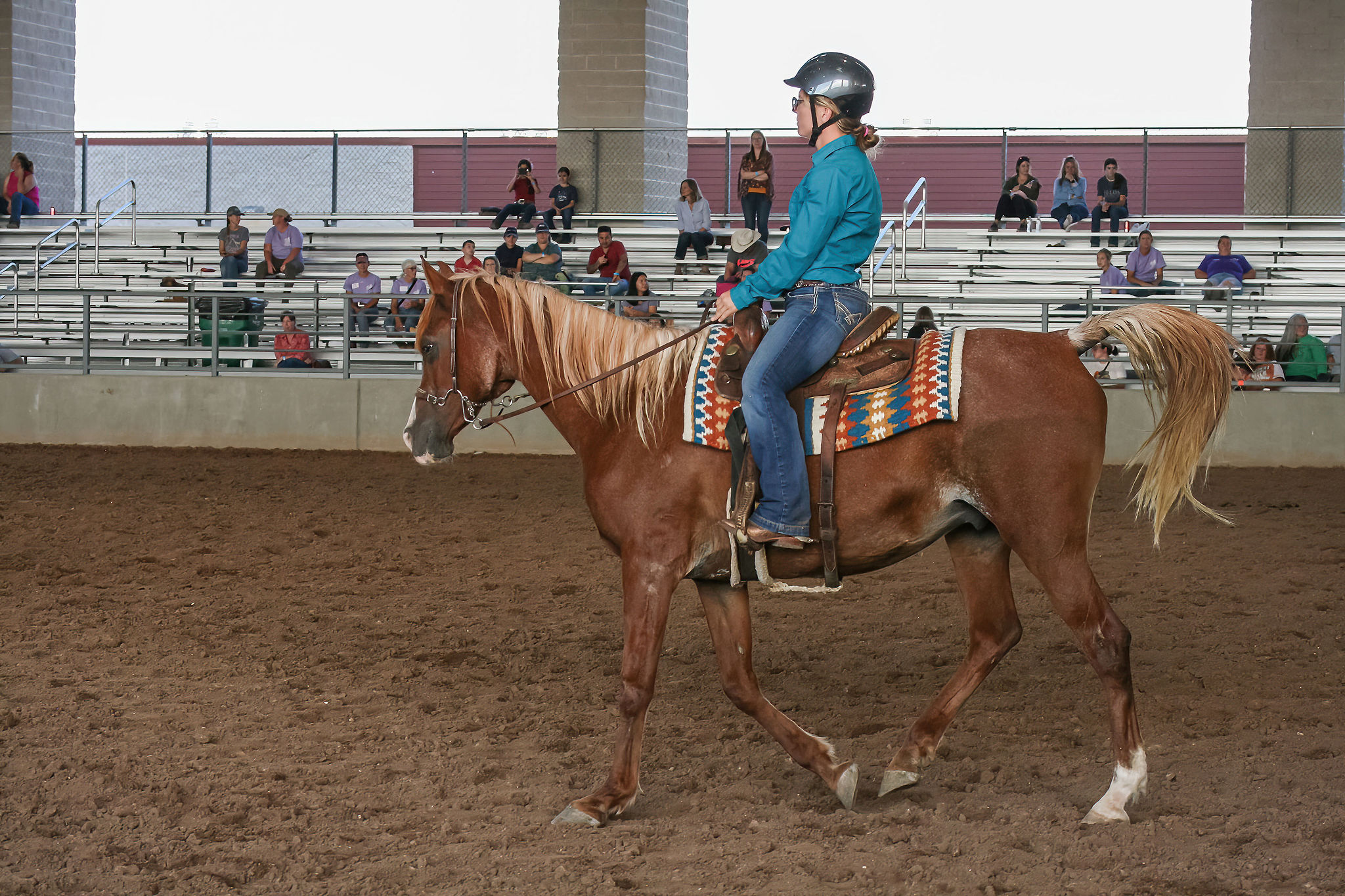 Applications for 2023 Rescue Horse Training Challenge Open
