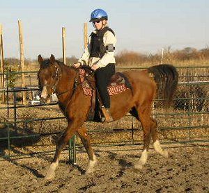 I was working on the Training Challenge today and was thinking that I could adequately put into words how much the Challenge means. Not just to me, but to the horses who get help during the Challenge, to the adopters who get to adopt Challenge horses, and to the people who get to participate.

When I say this event changes lives, it really odes.  We've got Challenge graduates who have gone on to become show horses, working horses, kids' horses, trail horses - just about everything.  And most importantly, Challenge graduates have gone on to be part of families, loved and cherished.

We've had participants who have grown up in the Challenge.  They started competing in hand as little kids and just get better and better every year. We have families working together to help Challenge horses, spouses engaged in friendly competition, siblings cheering each other on, and friends helping each other.  We've got barns with multiple students competing together. We've seen trainers who got their start in the non-pro division of the Challenge go on to become pros. 

I think just about anything is possible with the Challenge.

Participants help each other out, cheer each other on, and problem solve together.

And this year, we went from not having enough horses for the professional division to having more horses than we have trainers in the pro division and the non-pro under saddle division.  And we always have more horses for the in hand divisions.

So, if you haven't signed up yet, there's still time.  You can become part of something amazing.