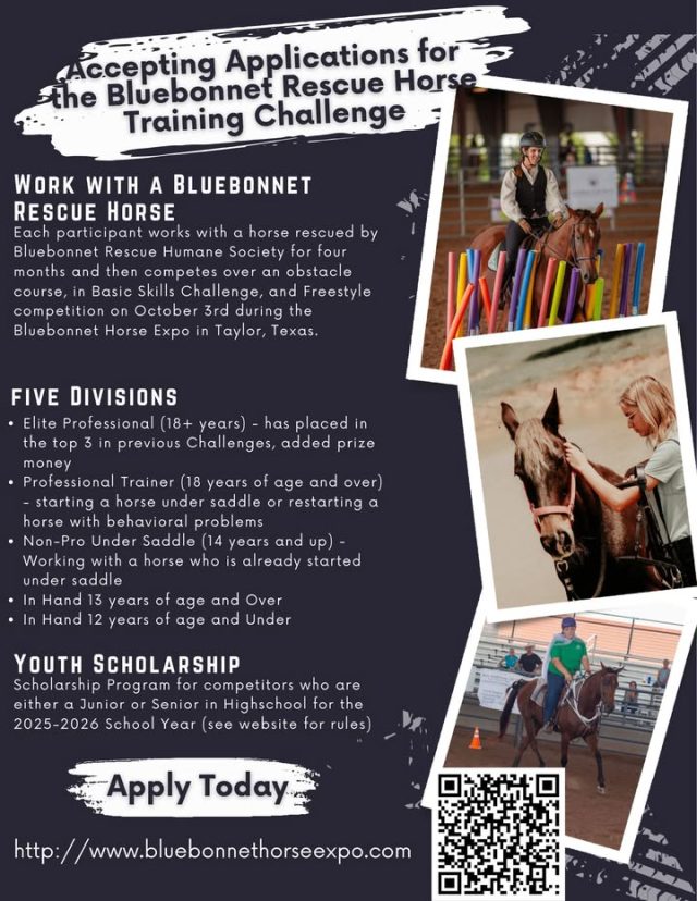 We appreciate anyone who can help us get the word out.

Applications for the 2026 Bluebonnet Rescue Horse Training Challenge are open - and we are assigning horses for the professional division starting now!

For those not familiar with the Training Challenge, it is an event where professional trainers and amateur horse lovers work with a Bluebonnet Equine Humane Society horse for 4-5 months and then come together to show off what the horse knows and help them find an adopter. 

We have divisions for kids and adults to work with a horse in hand, a division for amateurs to work with a horse under saddle who is at least green broke to ride, and a division for professionals to start a horse under saddle who either isn't broke to ride or has behavioral problems (we disclose what we know). And we have two youth scholarships!

We offer $12,000 in cash and prizes plus another $12,000 in cash and prizes for our Elite Professionals (those who have served as clinicians in previous Bluebonnet Horse Expos or have placed in the top 3 in the pro division in previous Challenges). 

This year assignments are made in March-May and the competition is October 3 during the Bluebonnet Horse Expo in Taylor, Texas. 

Rules and application available at https://loom.ly/UqqKLAg

Why should professionals participate? Professional trainers who compete get promoted on our website, social media accounts, and at the event.  When we need to send a horse to a professional trainer outside the Challenge where we pay the trainer, we give preference to previous Challenge competitors. We also recommend professional trainers when an adopter needs a trainer. Many Challenge trainers have seen a boost in their business, have formed new business relationships, and have made friends by being part of the Challenge.

Why should non-pros/amateurs compete?  You'll be making a difference in the life of your Challenge horse:  you learn about what they like, what they don't like, and what they know. Those things help us find them the right adopter match. 

By taking photos and videos of your foster horse and talking about him/her on social media (we set up Facebook pages for each horse), you can help him catch the eye of his perfect person. You can challenge yourself to grow and learn alongside your Challenge horse. You can also meet other horse people in your area, make new friends, and find someone new to ride with - or at least gush about how much you love horses.

If the word competition makes you nervous: While the event is a competition, it is the most supportive competition I've ever seen. Professionals help non-pros with problems, non-pros help each other, and everyone cheers each other on. 

This is your year - come be part of the Challenge. Change a horse's life, change an adopter's life, and change your own life - all for the better.

Rules and application available at https://loom.ly/UqqKLAg